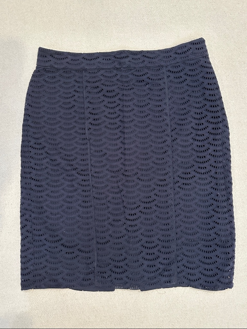 Ann Taylor Lined Navy Eyelet Pencil Skirt 12P